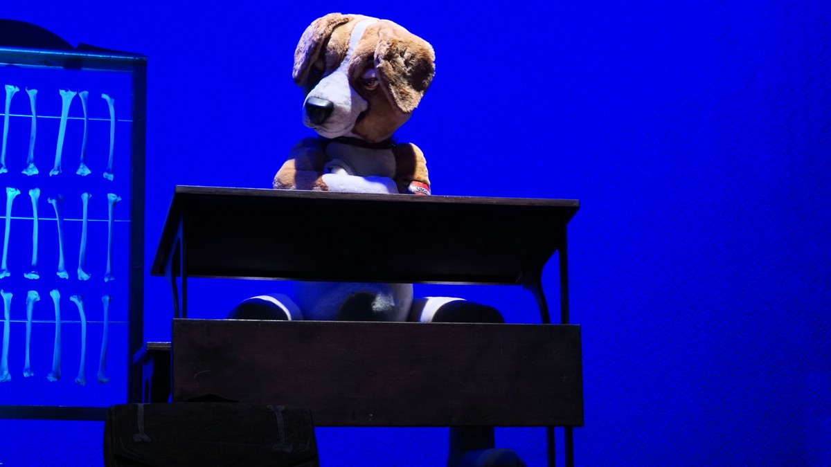 O Fotomagazin / Martin Rtter Show nachSITZen 2015